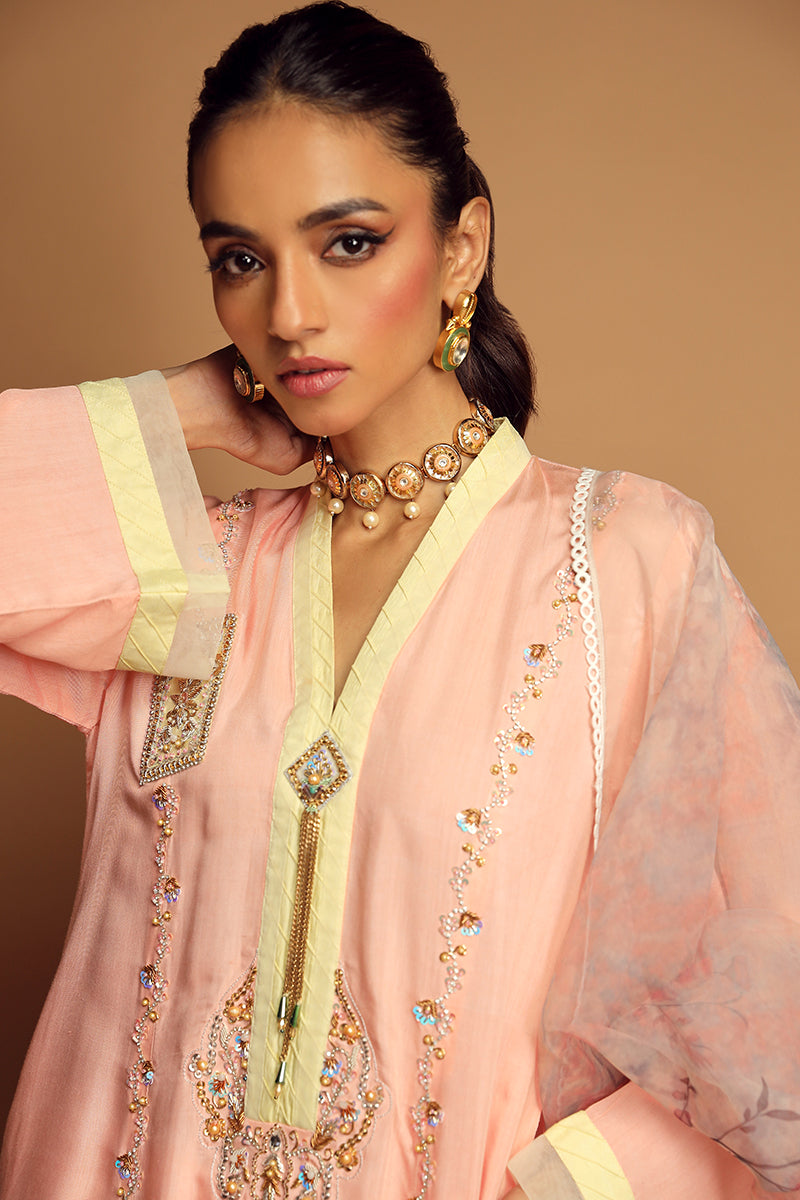 Wardha Saleem | Luxury Pret Traditional Wear | ALLURE (2PC) M Pink Cotton Silk