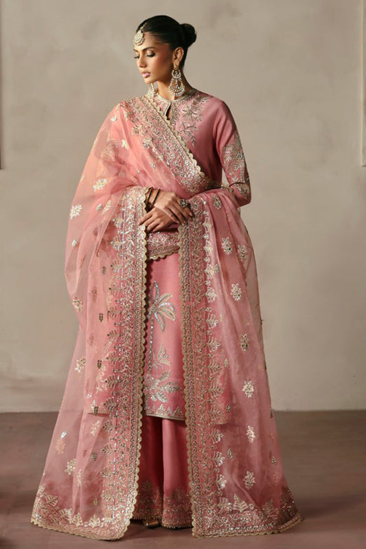 Afrozeh | Divani Silk Edit 25 | Gulrukh XS Powder Pink Raw Silk