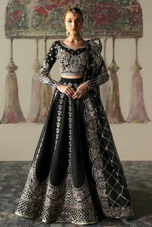 Afrozeh | Divani Silk Edit 25 | Husnara XS Black Raw Silk