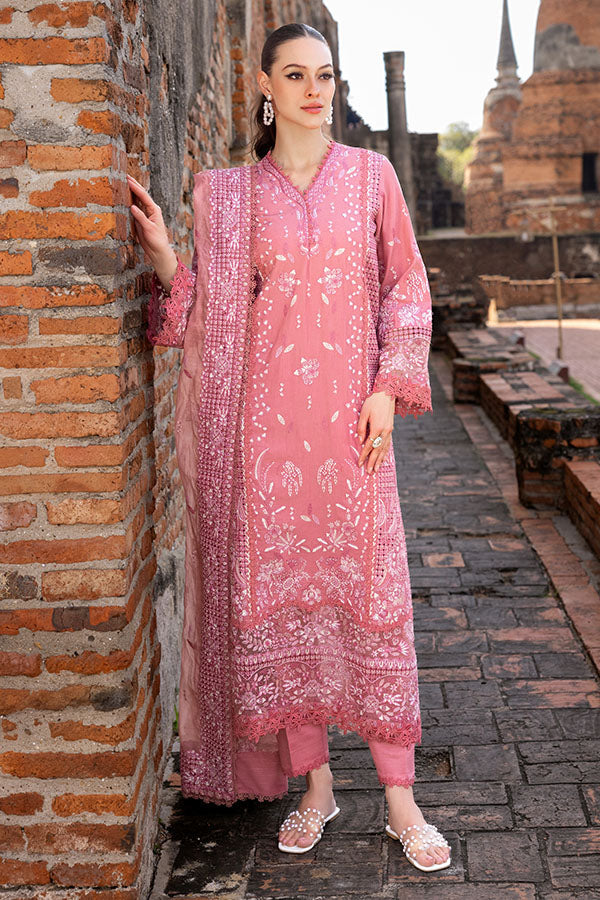 Saffron | Solace Winter Edit | Froza XS Blush Pink Khaddar