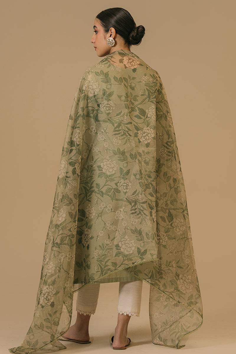 Cross Stitch | Eid Collection | OLIVE VISTA - Pakistani Designer Dress - by Cross Stitch | Type: Luxury - 100% Original at Saira Sultan