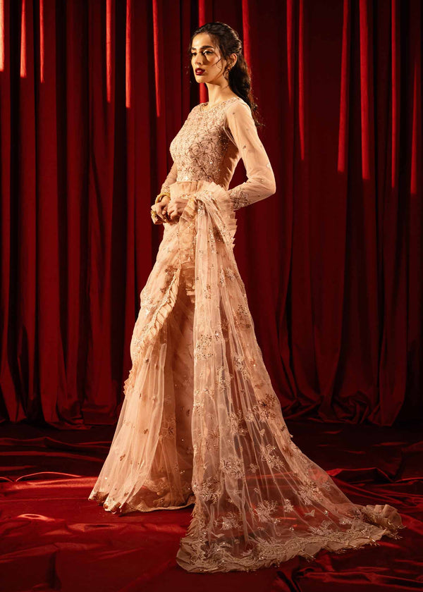 Paras by Pasha | Noor -e- Jahan Saree Collection | Shab-e-Gulabi XL Light Pink Net