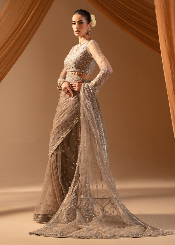 Paras by Pasha | Noor -e- Jahan Saree Collection | Abr-e-Shaam Custom Size Gray Net