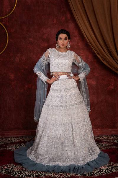 House of Nawab | Luxury Formals | GULCIN - Pakistani Designer Dress - by House of Nawab | Type: Formal - 100% Original at Saira Sultan