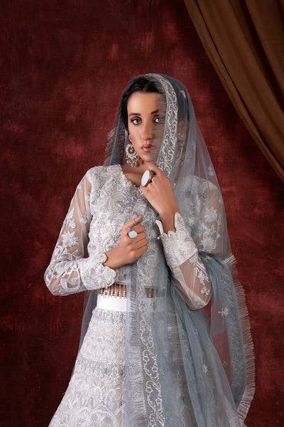 House of Nawab | Luxury Formals | GULCIN - Pakistani Designer Dress - by House of Nawab | Type: Formal - 100% Original at Saira Sultan