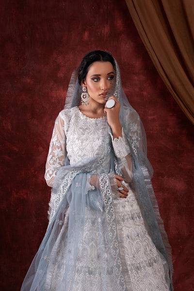 House of Nawab | Luxury Formals | GULCIN - Pakistani Designer Dress - by House of Nawab | Type: Formal - 100% Original at Saira Sultan