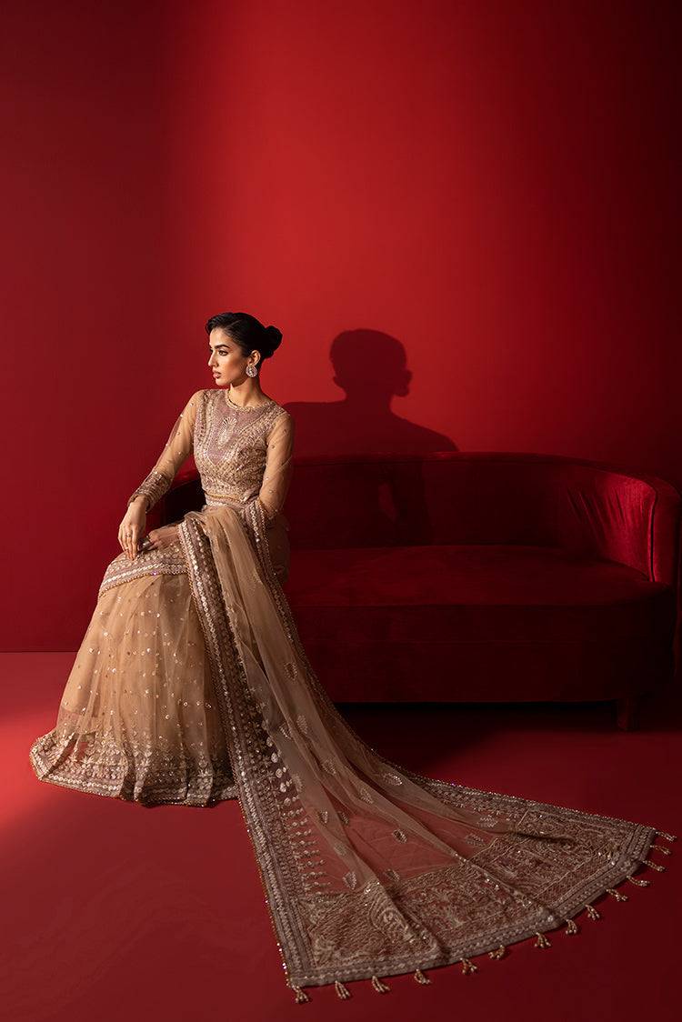 Ellena | Luxury Collection | 06 - Pakistani Designer Dress - by Ellena | Type: Formal - 100% Original at Saira Sultan