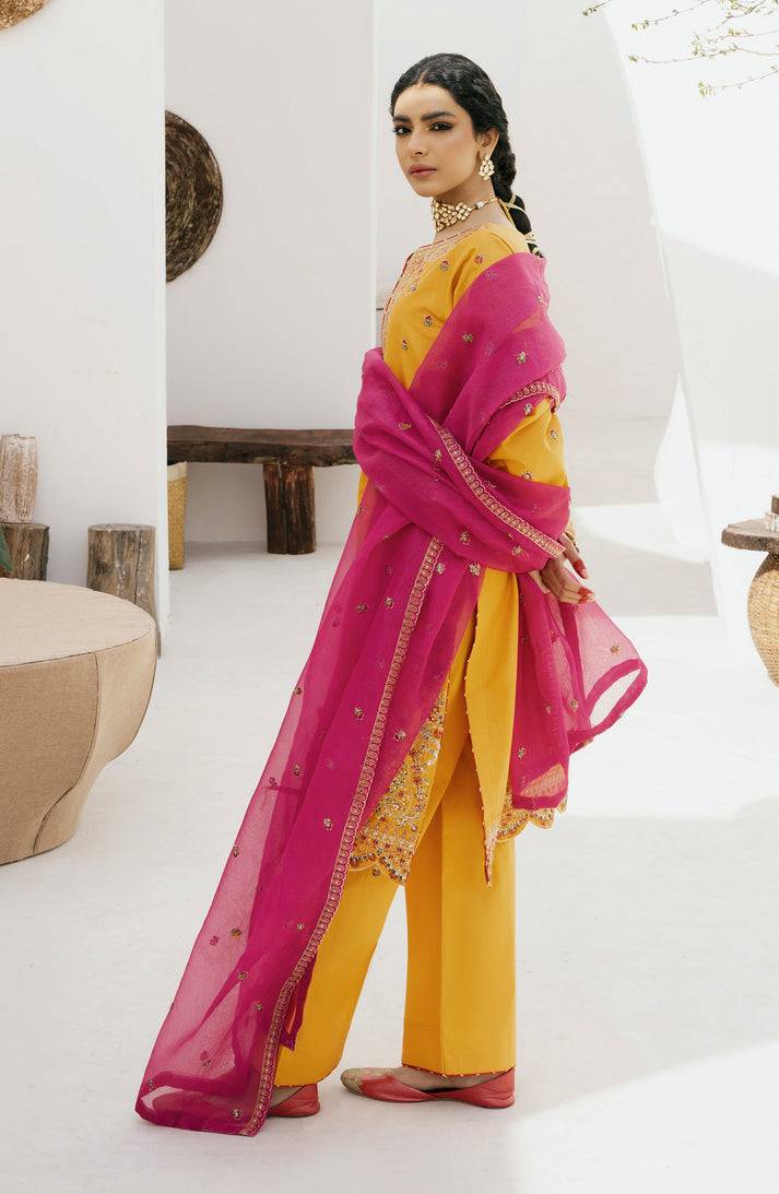 Emaan Adeel | Gul Mohr Eid Pret | WASHMA - Pakistani Designer Dress - by Emaan Adeel | Type: Luxury - 100% Original at Saira Sultan