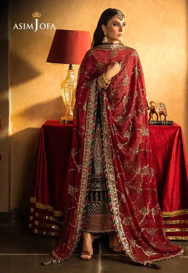 Asim Jofa | Velvet Festive 23 | AJVF-10 - Pakistani Designer Dress - by Asim Jofa | Type: Formal - 100% Original at Saira Sultan