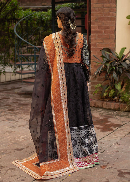 Ali Xeeshan | Chanda Luxury Pret | Bano S Black Cotton Net
