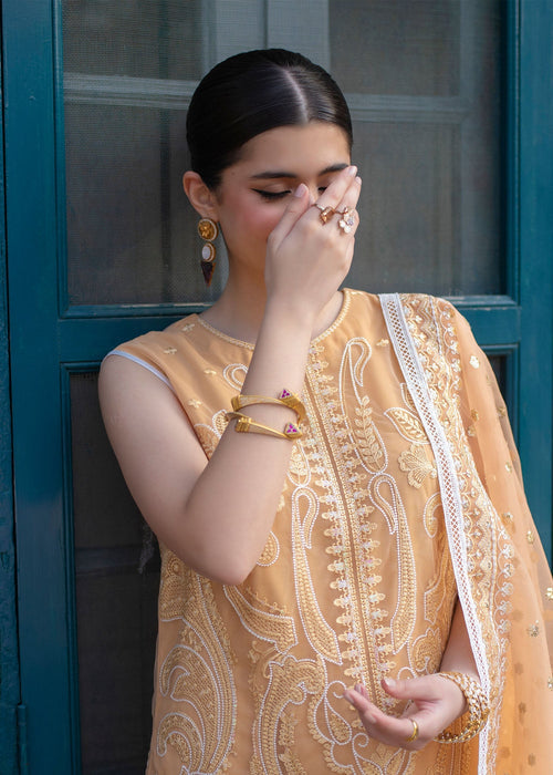 Ali Xeeshan | Chanda Luxury Pret | Inara M Saffron Net