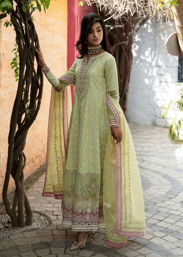 Maria Osama Khan | Rang e Noor Eid Edit | Nargis - Pakistani Designer Dress - by Maria Osama Khan | Type: Luxury - 100% Original at Saira Sultan