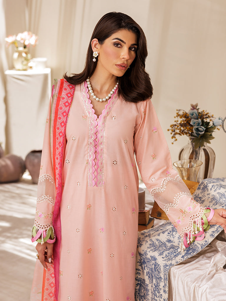 Rajbari | Nissa Chikankari Edition 25 | D# - 03 - Rajbari Ladies Clothes - Saira Sultan