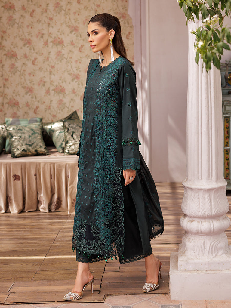 Rajbari | Nissa Chikankari Edition 25 | D# - 05 - Rajbari Ladies Clothes - Saira Sultan