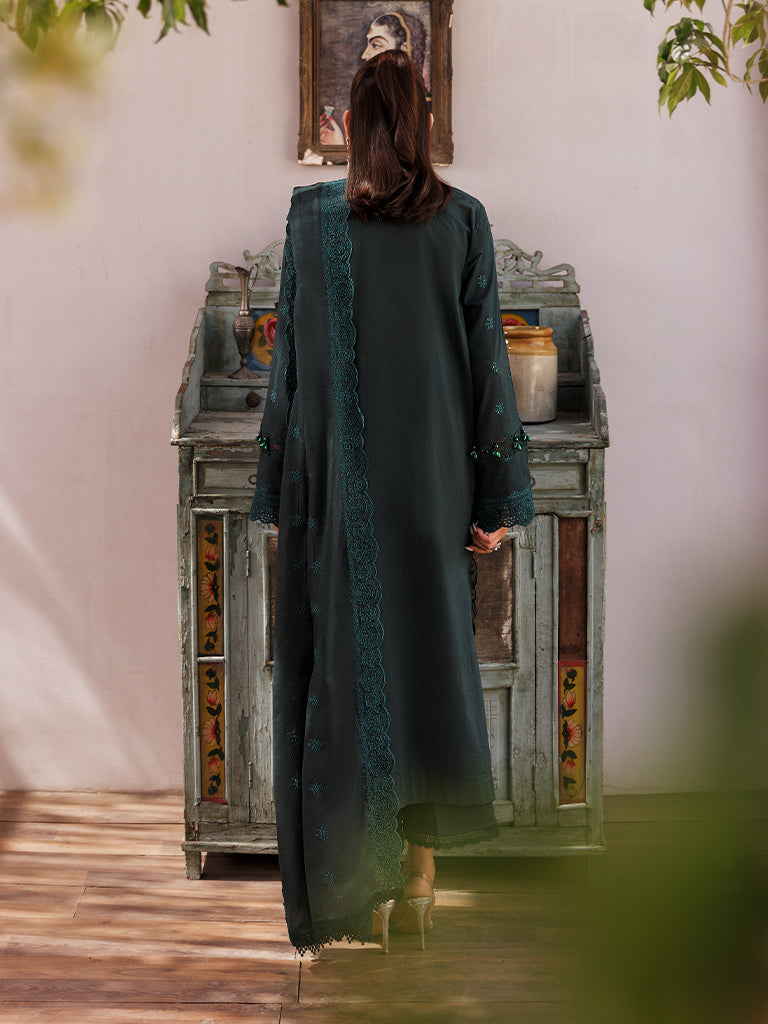 Rajbari | Nissa Chikankari Edition 25 | D# - 05 - Rajbari Ladies Clothes - Saira Sultan