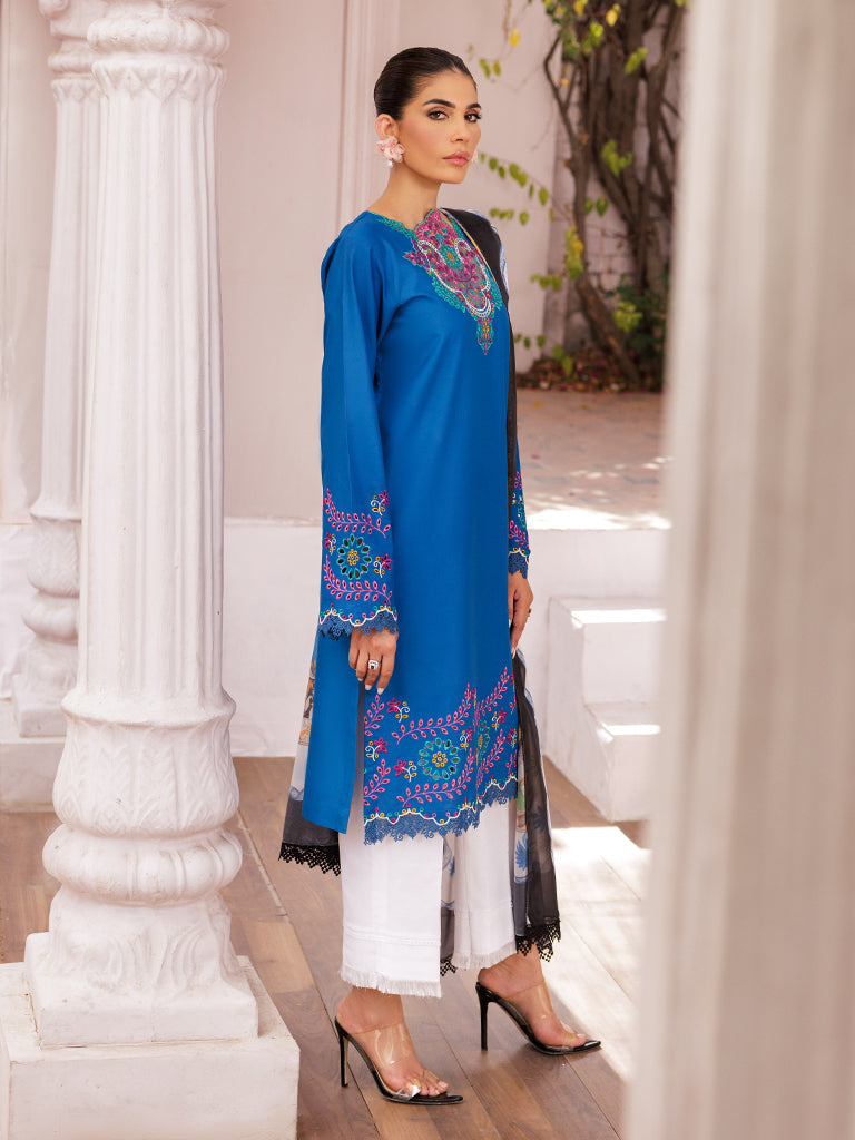 Rajbari | Nissa Chikankari Edition 25 | D# - 04 - Rajbari Ladies Clothes - Saira Sultan