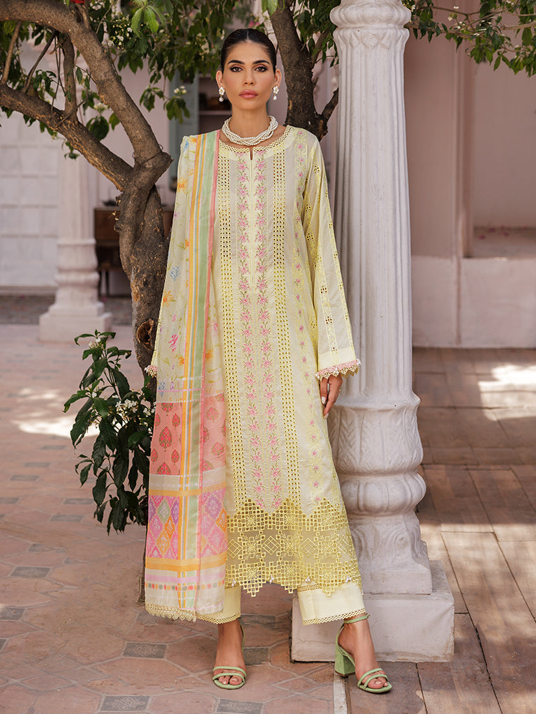Rajbari | Nissa Chikankari Edition 25 | D# - 09 - Rajbari Ladies Clothes - Saira Sultan