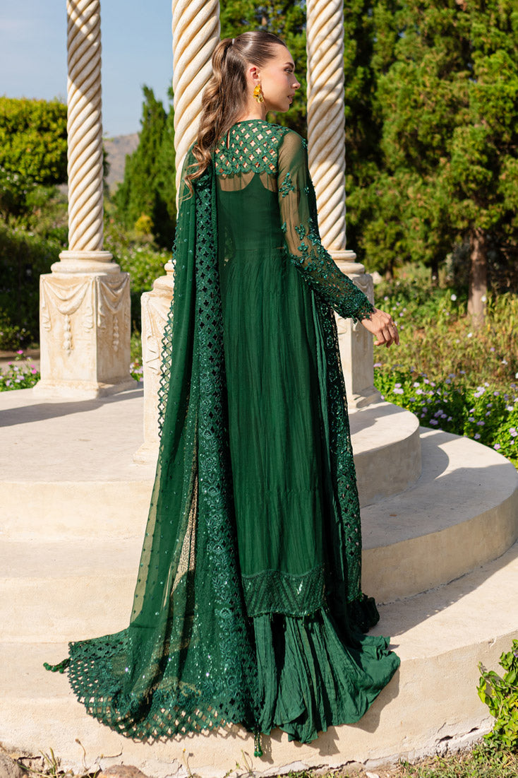 Marjjan | Isabella Formals | MLC-26 S Dark Green Crinkle Chiffon
