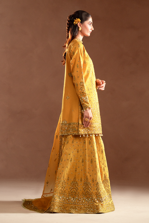 Emaan Adeel | Selene Formals | VELORIA XL Pale Yellow Korean Raw Silk