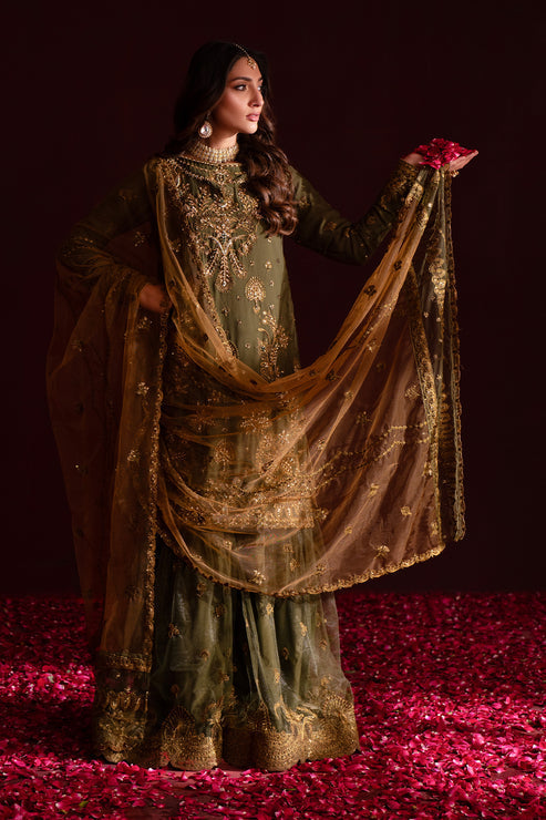 Emaan Adeel | Nooresha Formals 25 | Sunoora XS Olive Green Chiffon