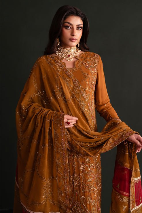 Emaan Adeel | Nooresha Formals 25 | Zarang M Burnt Orange Chiffon