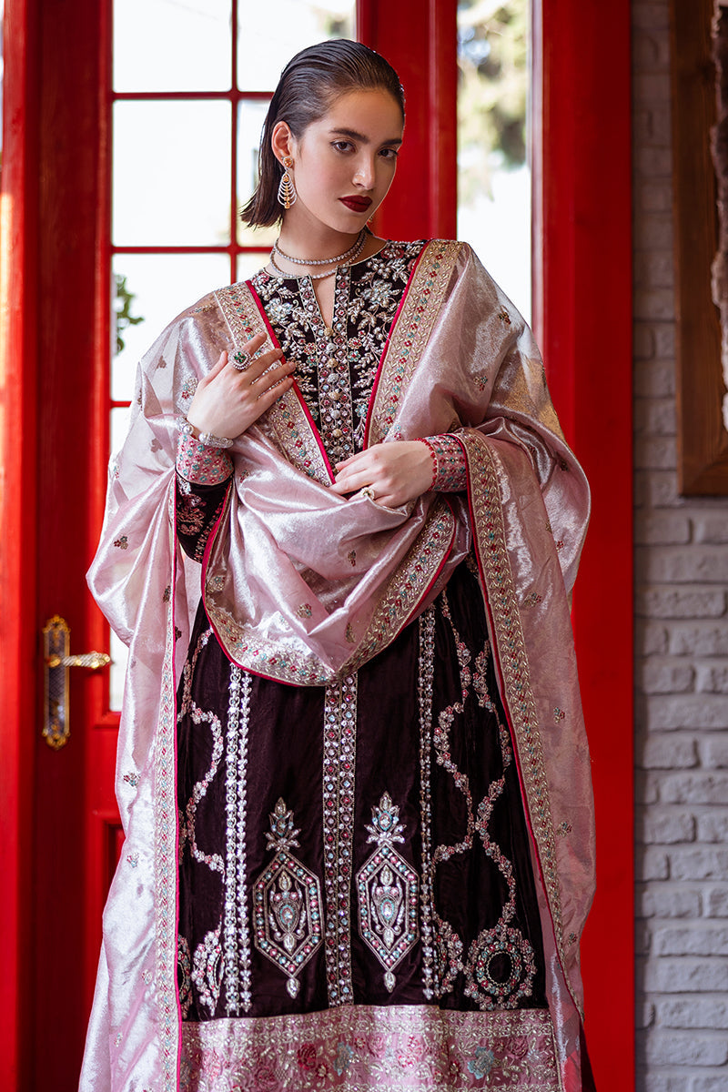 Mushq | Deja Vu Velvet | Echoing Dreams - Pakistani Designer Dress - by Mushq | Type: Ladies Clothes - 100% Original at Saira Sultan