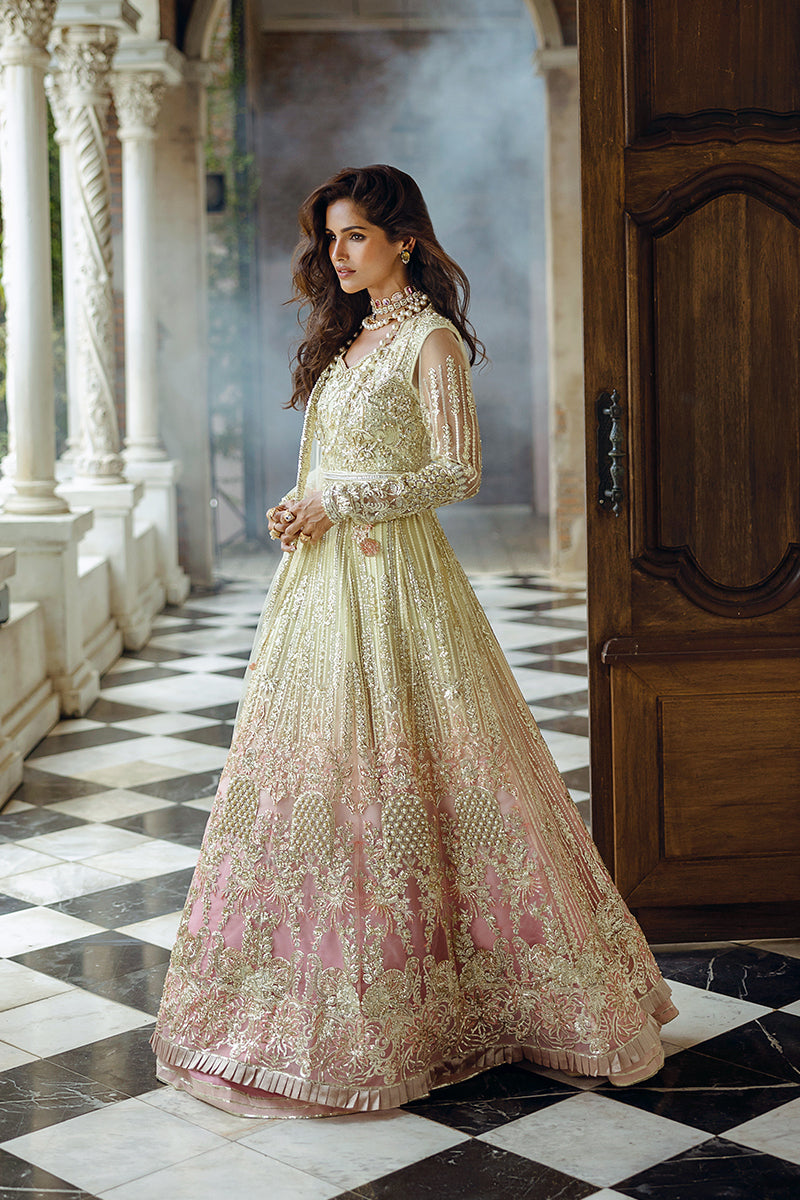 Mushq | Stardust Wedding Collection 24 | Cosmic Couture - Pakistani Designer Dress - by Mushq | Type: Ladies Clothes - 100% Original at Saira Sultan