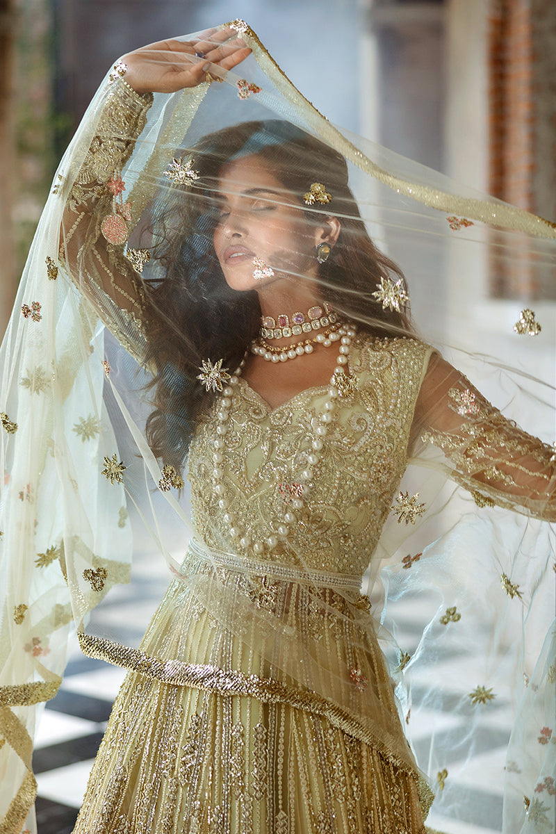 Mushq | Stardust Wedding Collection 24 | Cosmic Couture - Pakistani Designer Dress - by Mushq | Type: Ladies Clothes - 100% Original at Saira Sultan