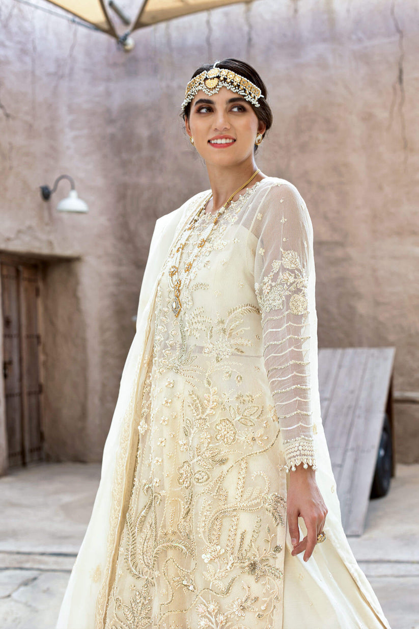 Kara | Kamdani Festive Collection | Pearl Whisper XL Ivory Cotton Net