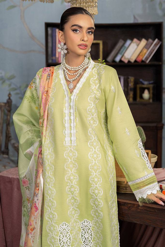 Rajbari | Chikankari Edition 24 | RJB-11 - Pakistani Designer Dress - by Rajbari | Type: Luxury - 100% Original at Saira Sultan