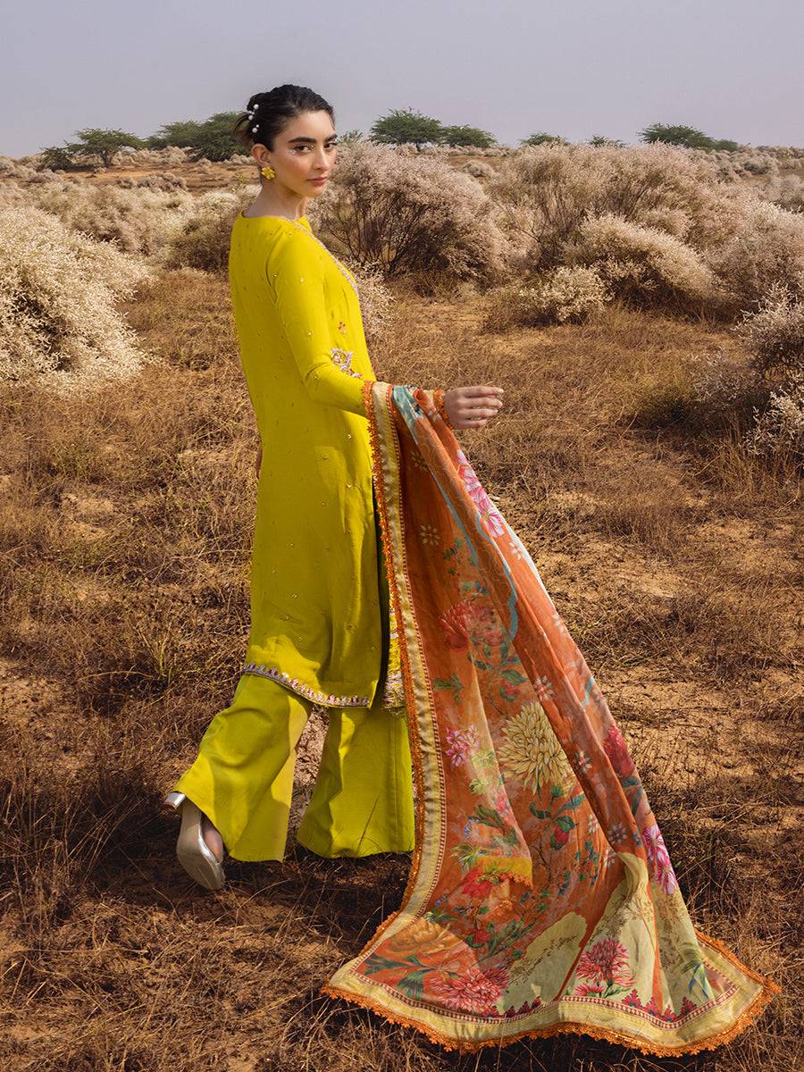 Salitex | Luxury Wear 24 | 26 - Pakistani Designer Dress - by Salitex | Type: Luxury - 100% Original at Saira Sultan