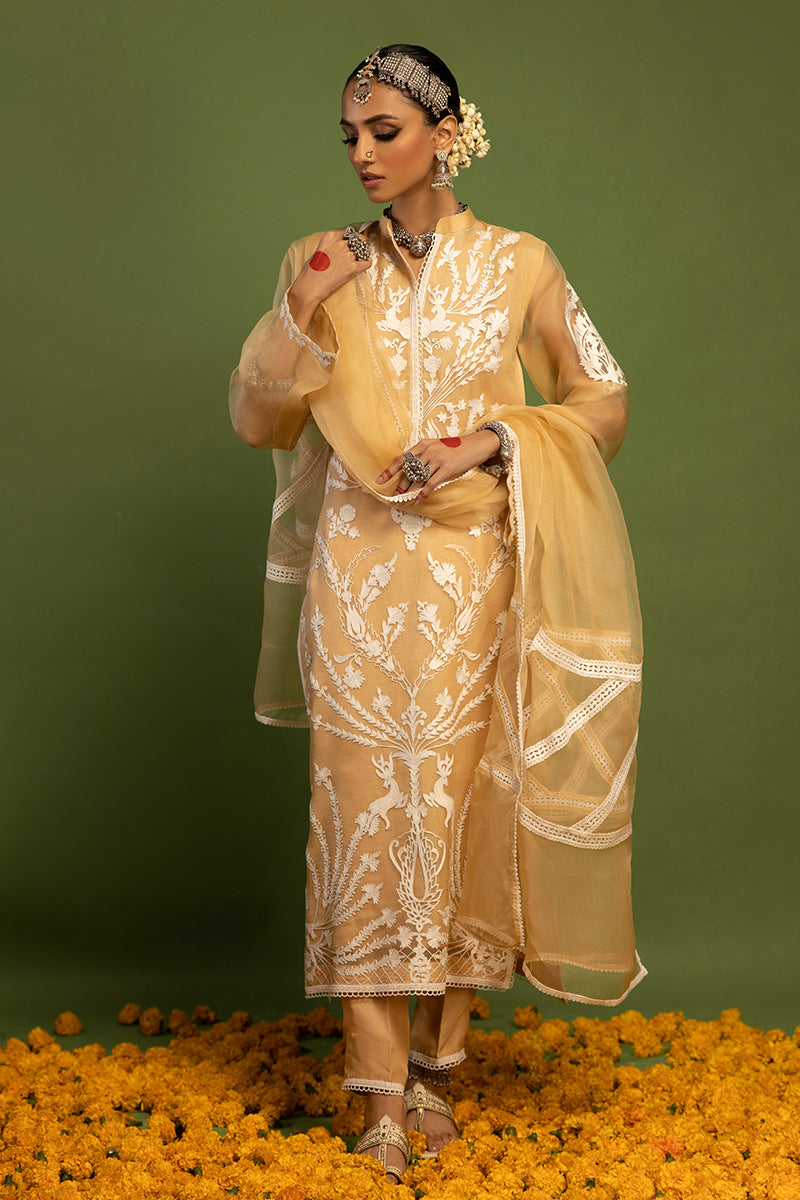 Wardha Saleem | Luxury Pret Traditional Wear | SHIKAR GAH - AARI WORK (2 PC) XS Pale Yellow Organza