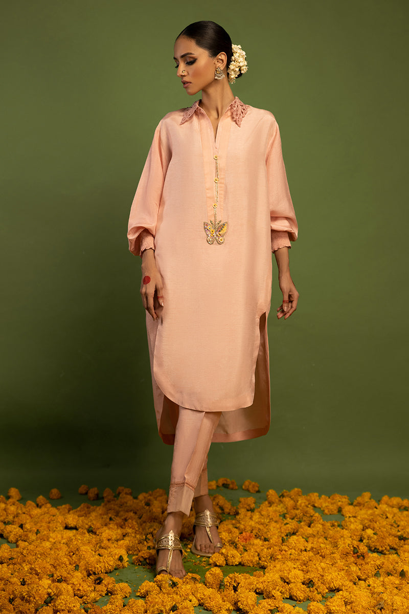 Wardha Saleem | Luxury Pret Traditional Wear | TITLI (2 PC) XL Pale Peach Raw Silk