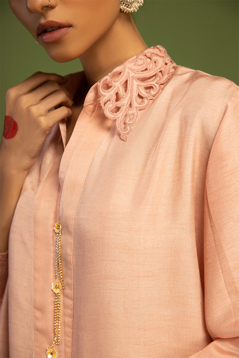 Wardha Saleem | Luxury Pret Traditional Wear | TITLI (2 PC) M Pale Peach Raw Silk