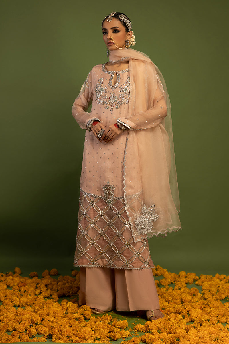 Wardha Saleem | Luxury Pret Traditional Wear | MISMAAR - HEAVY FORMAL (2 PC) XL Salmon Pink Raw Silk
