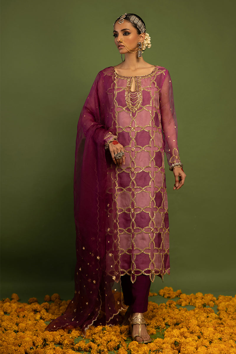 Wardha Saleem | Luxury Pret Traditional Wear | SARAAB - PLUM HEAVY (2 PC) XS Pink Raw Silk