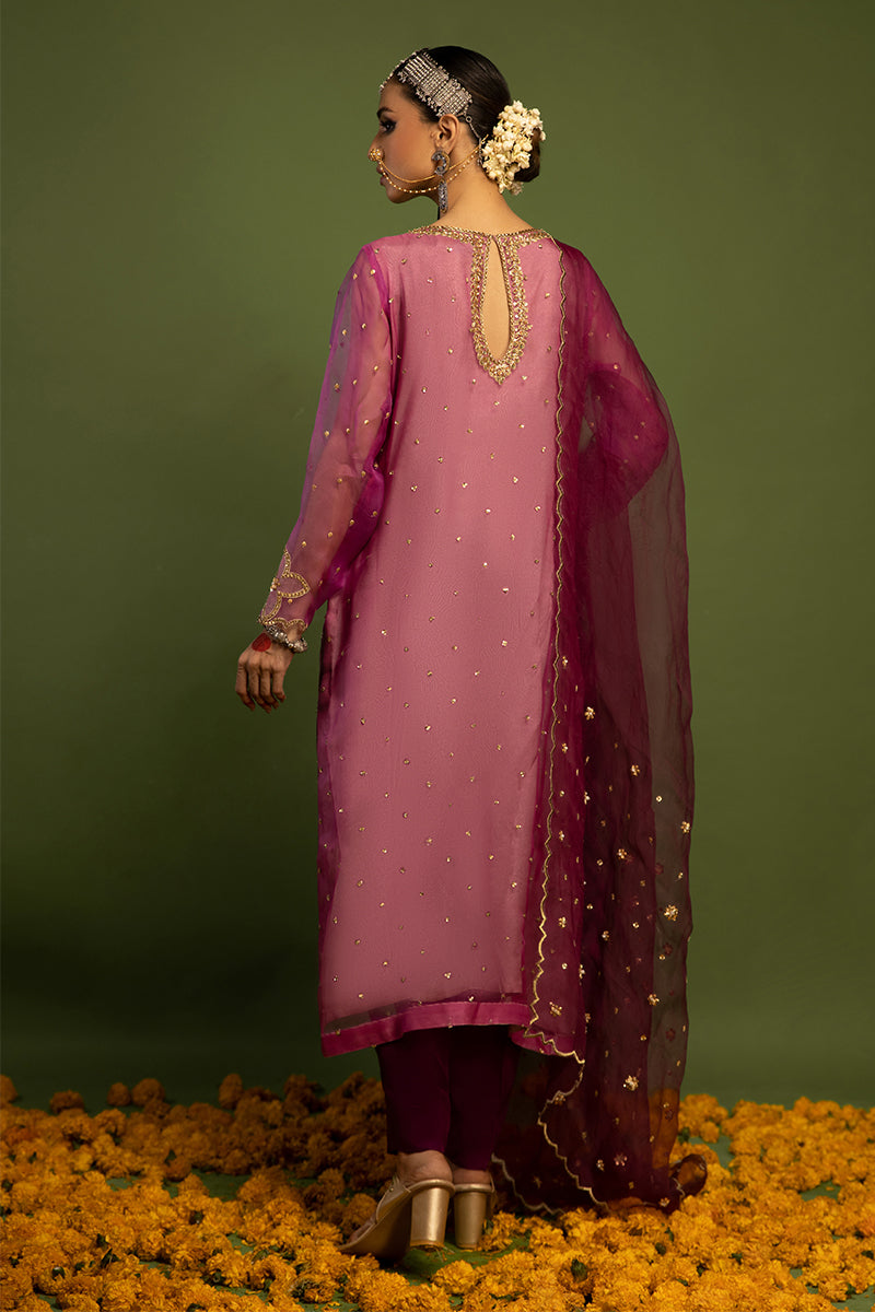 Wardha Saleem | Luxury Pret Traditional Wear | SARAAB - PLUM HEAVY (2 PC) S Pink Raw Silk