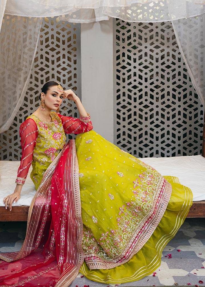 Daud Abbas | Formals Collection | Ghazal - Pakistani Designer Dress - by Daud Abbas | Type: Formal - 100% Original at Saira Sultan