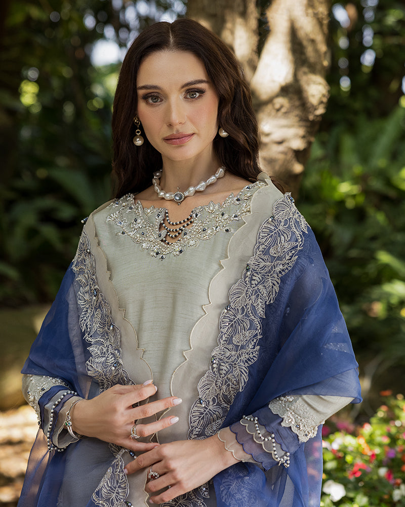 Ain | Cascade Party Wears | AN-104 S Gray Korean Raw Silk