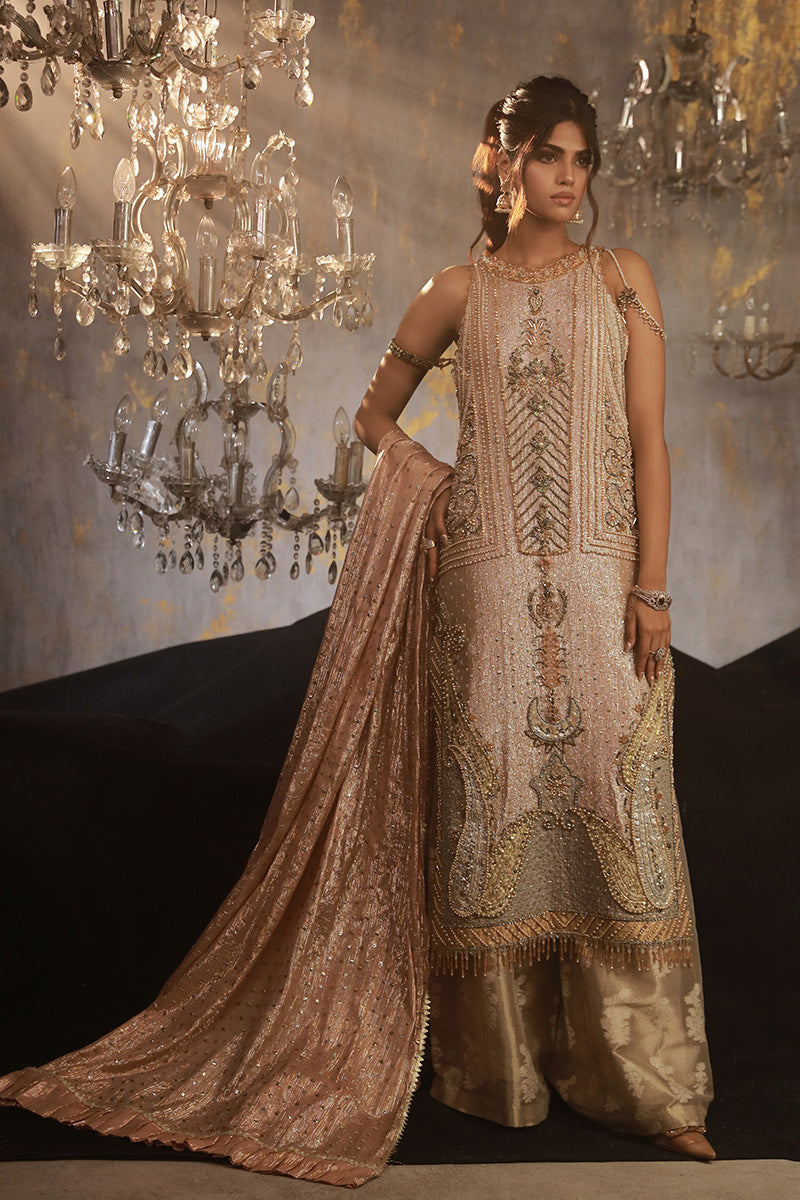 Wardha Saleem | Layla Wedding Formals | Layla-11 XS Blush Pink Shimmer Chiffon