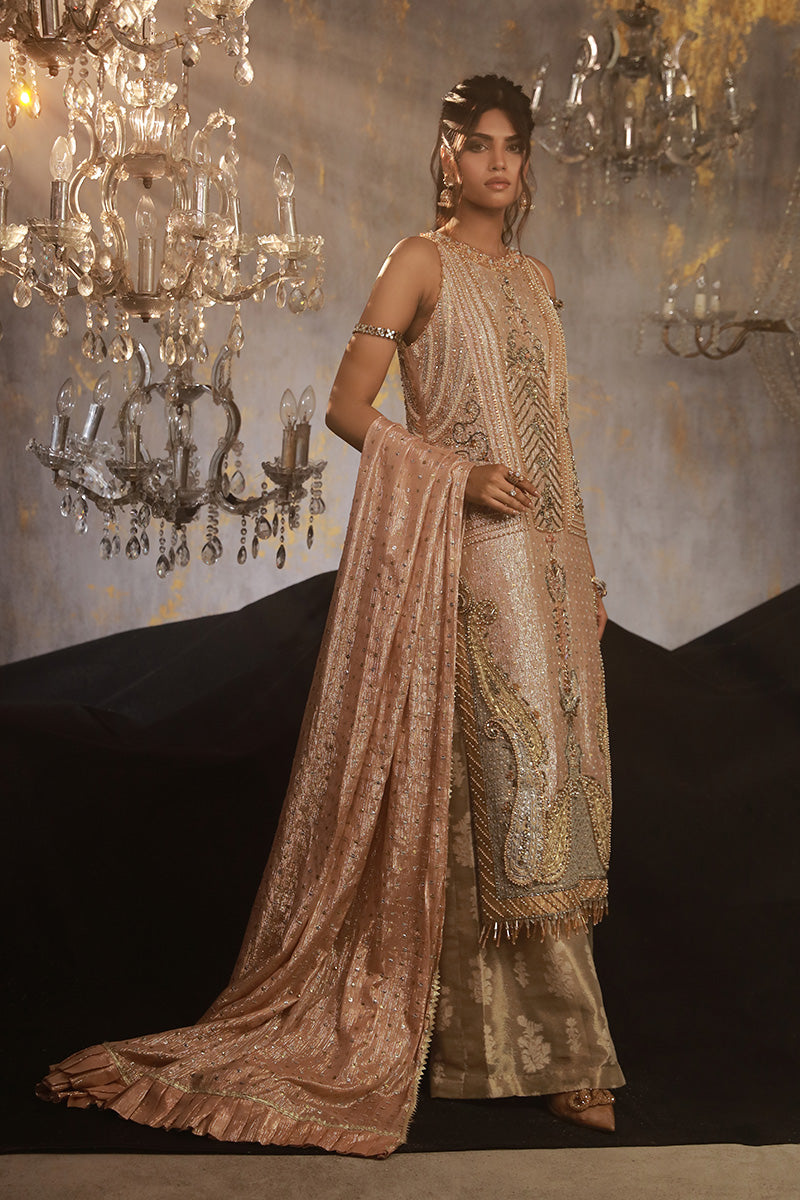 Wardha Saleem | Layla Wedding Formals | Layla-11 XL Blush Pink Shimmer Chiffon