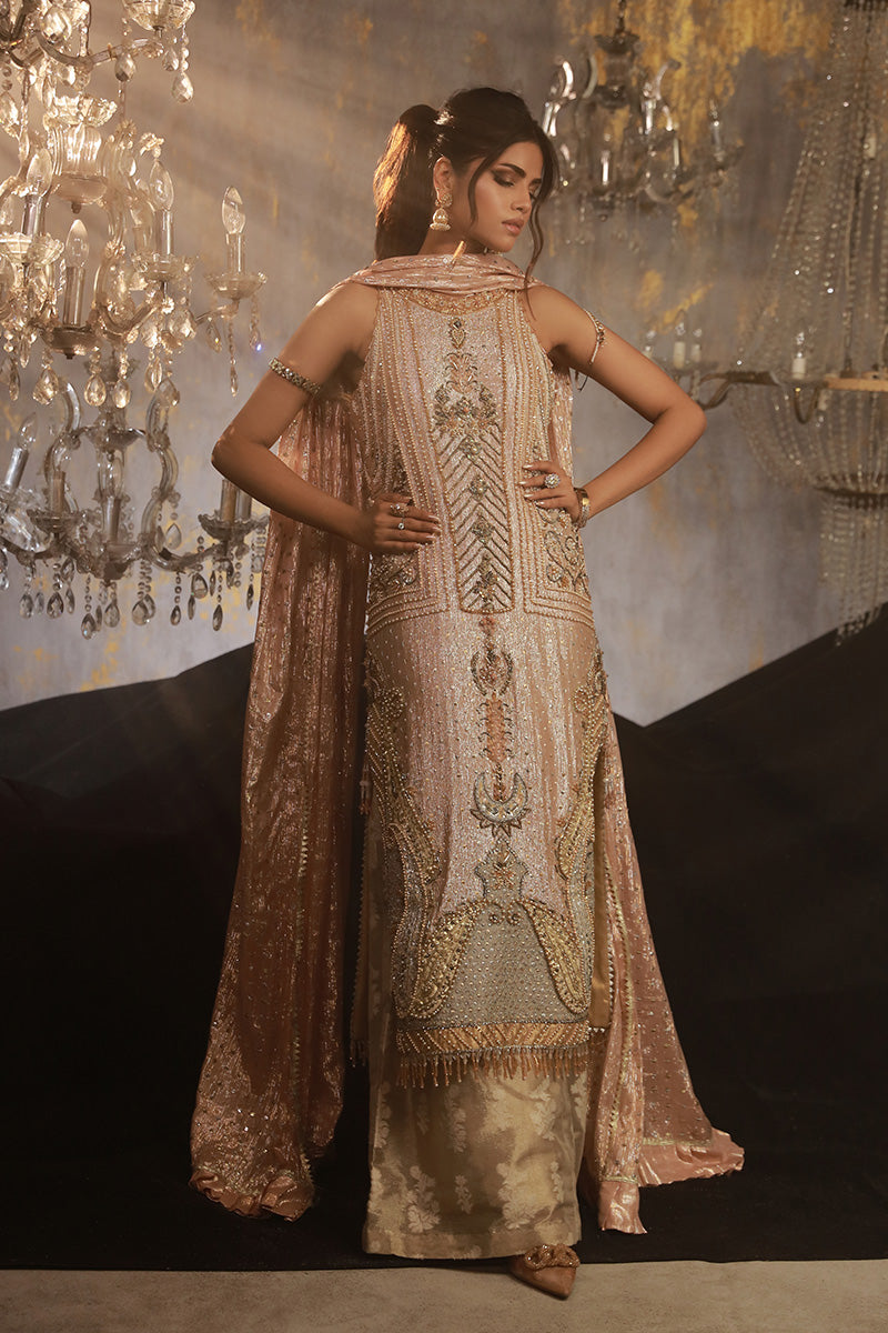 Wardha Saleem | Layla Wedding Formals | Layla-11 L Blush Pink Shimmer Chiffon