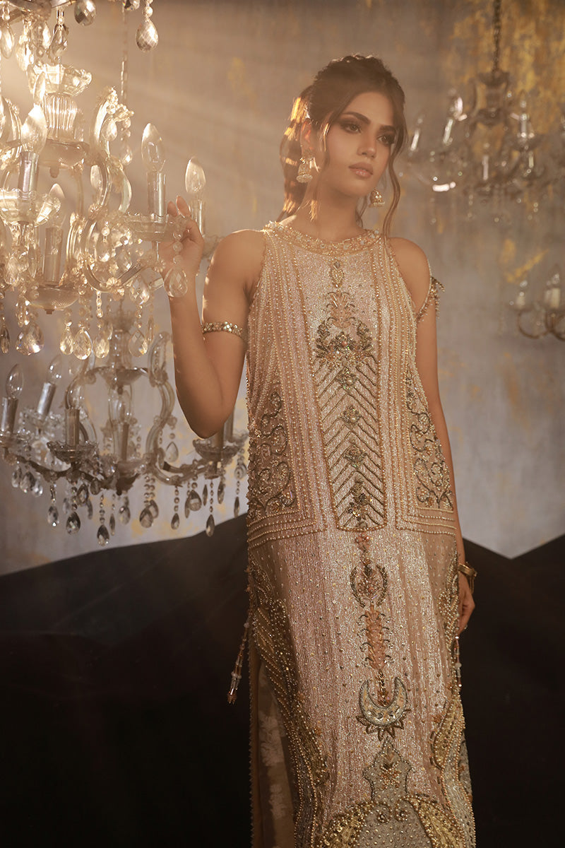 Wardha Saleem | Layla Wedding Formals | Layla-11 M Blush Pink Shimmer Chiffon