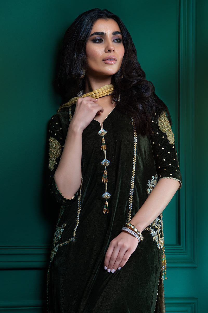 Wardha Saleem | Velvets Winter Fall 24 | Guldaan S Deep Olive Green Velvet