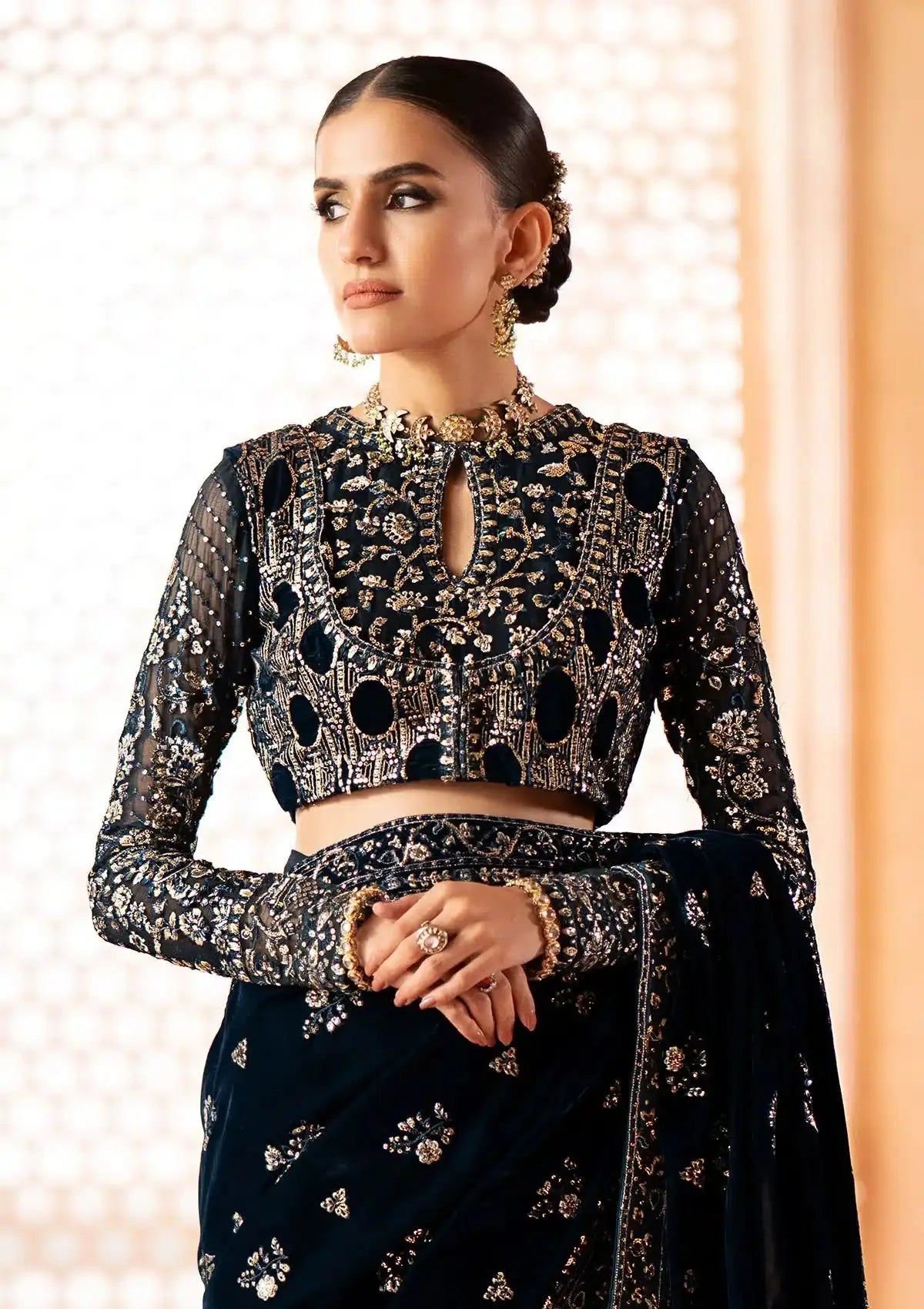 Aik Atelier | Zardozi Velvet 23 | 06 - Pakistani Designer Dress - by Aik Atelier | Type: Formal - 100% Original at Saira Sultan