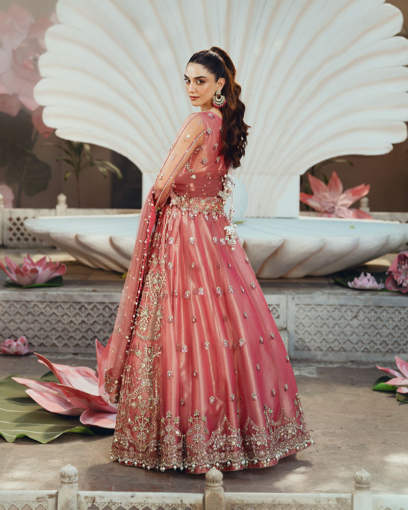 Ain | Naulakha Wedding Festive 24 | AR-142 ZORA S Salmon Pink Net