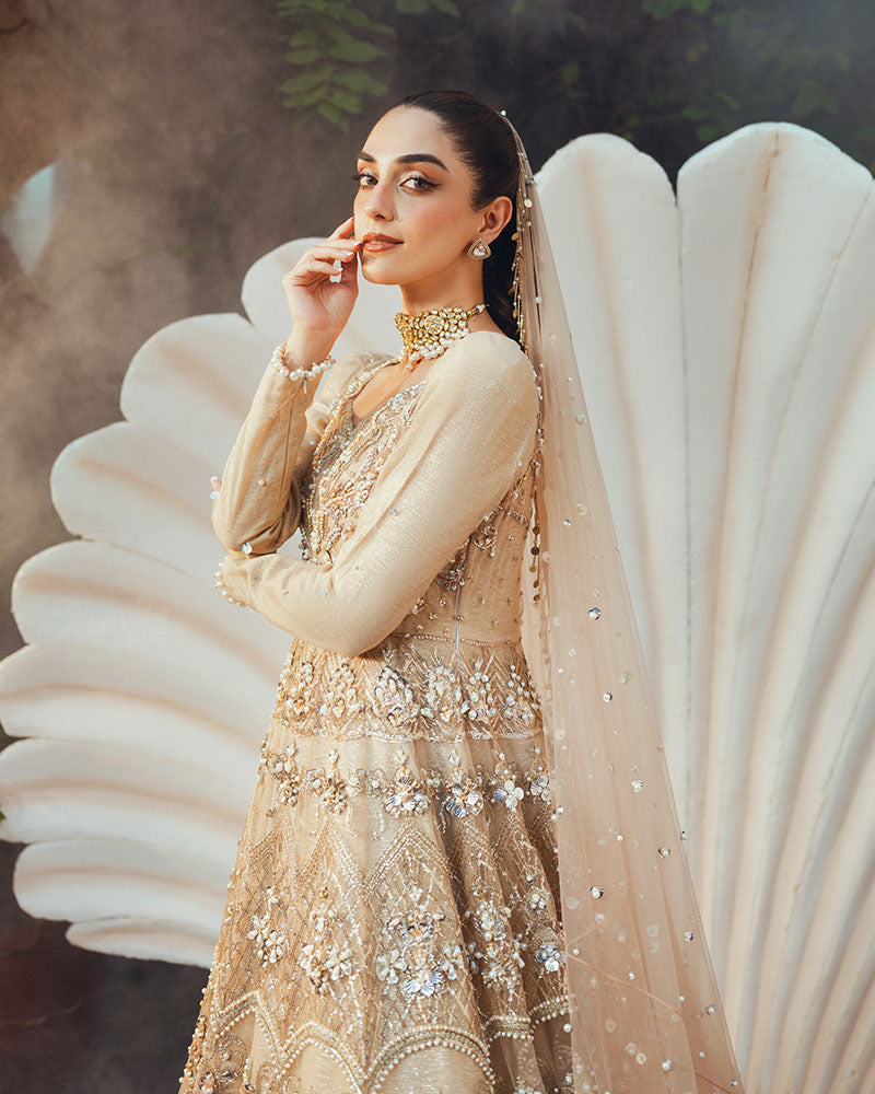 Ain | Naulakha Wedding Festive 24 | AR-144 SHELL XL Beige Net