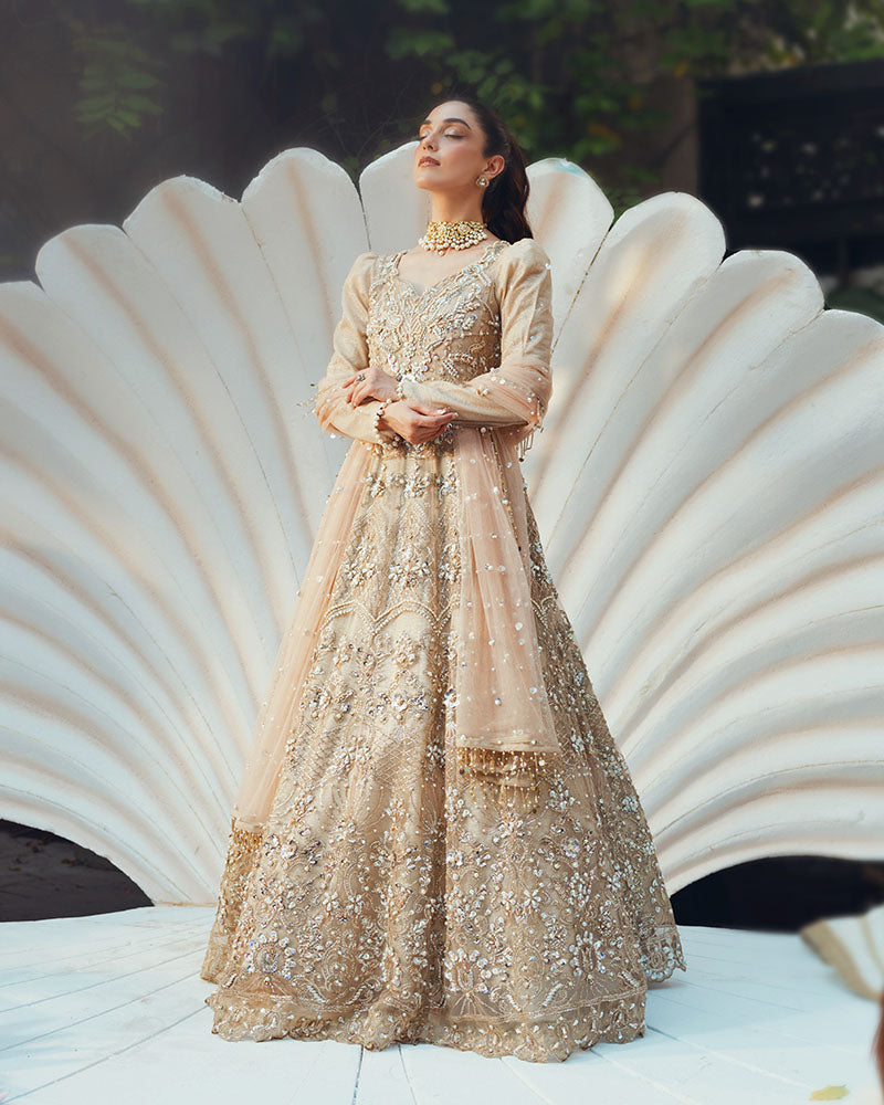 Ain | Naulakha Wedding Festive 24 | AR-144 SHELL L Beige Net