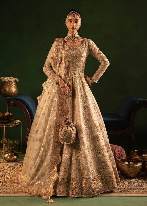 Diara Couture | Onora Wedding Festive | BELLA - WC-2-02 - Pakistani Designer Dress - by Diara Couture | Type: Ladies Clothes - 100% Original at Saira Sultan