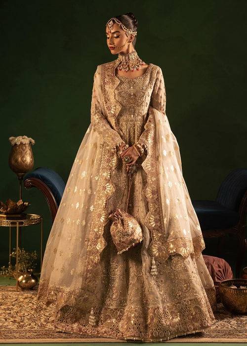 Diara Couture | Onora Wedding Festive | BELLA - WC-2-02 - Pakistani Designer Dress - by Diara Couture | Type: Ladies Clothes - 100% Original at Saira Sultan